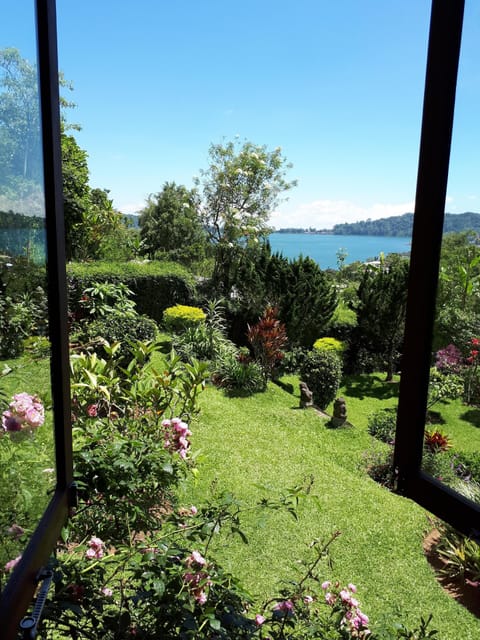 view from the dining table