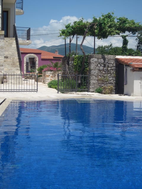 Vine covered dining area from pool