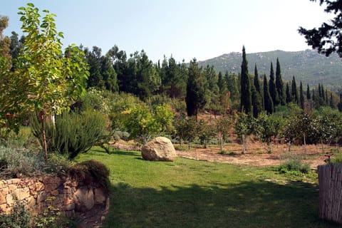 Access to the fenced orchard by the garden