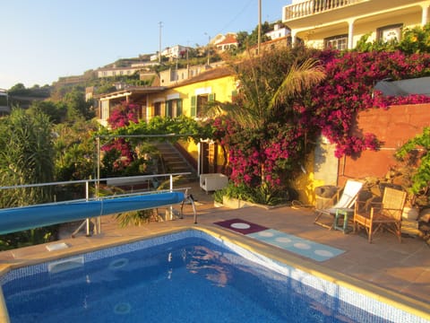 Pool and house surrounded by bougainvillae flowering all year round