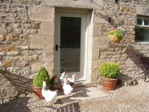 Waiting for visitors