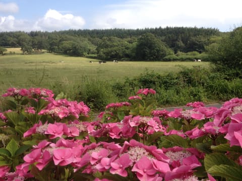 view from the front garden -The Pink House Lulworth rural holiday home from ho