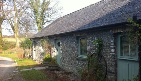 Spring sunshine on the cottage