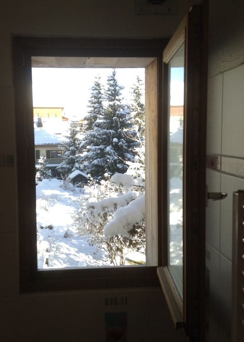 view from downstairs bathroom window