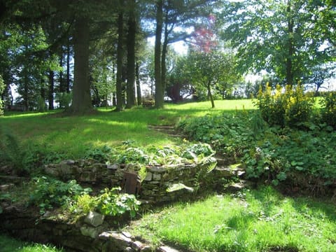 Part of the half acre garden
