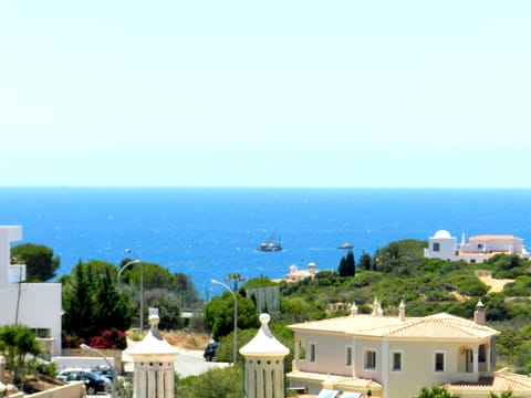 Beach/ocean view