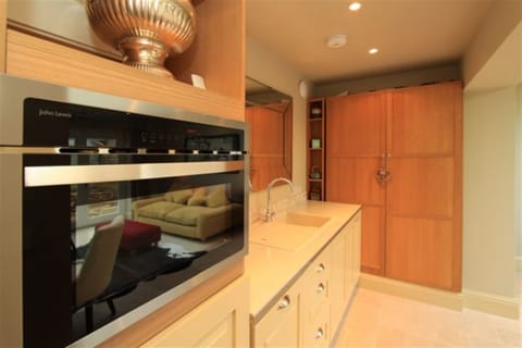 The kitchenette - combination microwave oven, dishwasher, single hob and fridge.