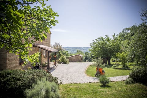 view from the garden