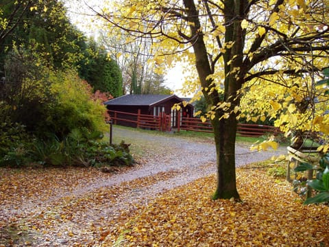 Outside autumn colours.