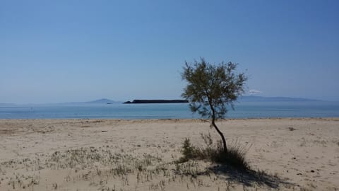 This magnificent beach with crystal clear waters is 3 minutes walking distance !