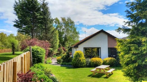 Silver Trees in the springtime- secluded front garden great for a picnic