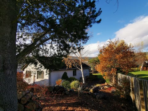 Silver Trees, set in its woodland garden. Looking towards the back of the house.