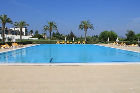 Semi Olympic size pool