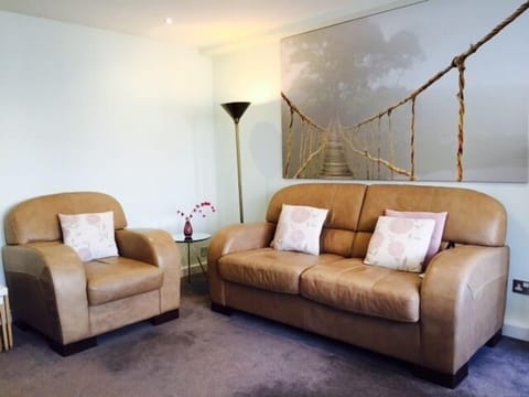 Large comfy chair and sofa