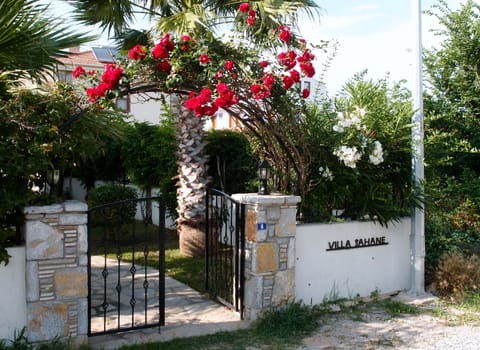Welcome to Villa Sahane
