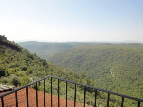 View