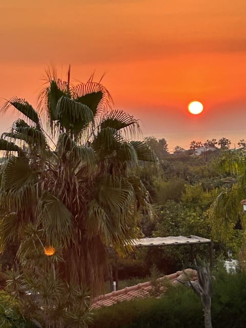 Beautiful 2 bed Villa With Private Pool And Mature Gardens Villa in Peyia