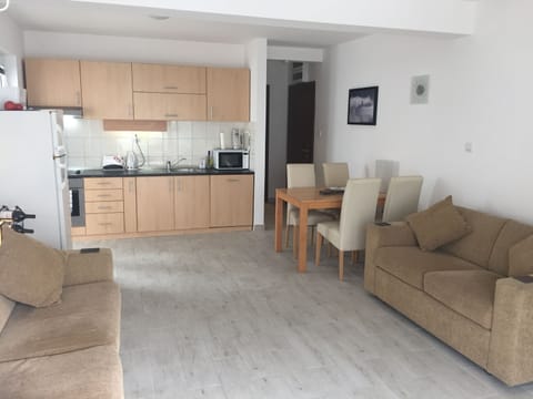 Large open plan living/dining area with two sofas