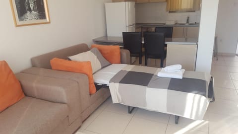 2 sofa beds in lounge 