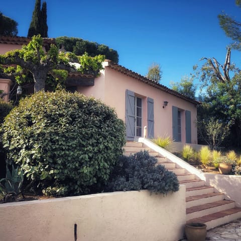 The covered dining terrace is hidden behind the trees and bushes on the left