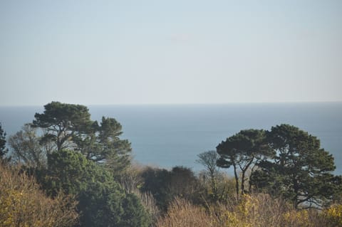 View from living room window - breakfast anyone !