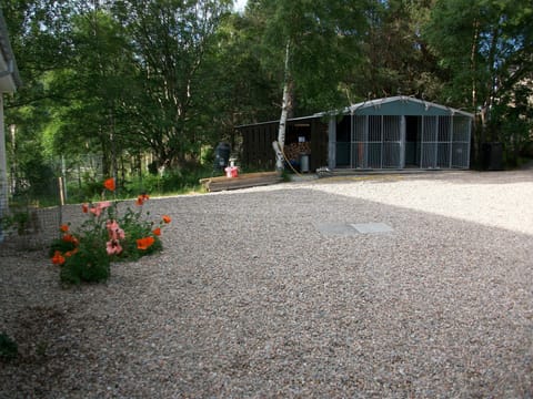 Car park. Dog kennels & Log shed