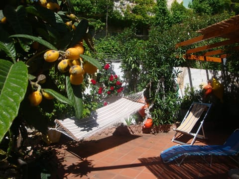 Garden, bright terrace, veranda, pergola,with swing-chair, ammack, table & seats