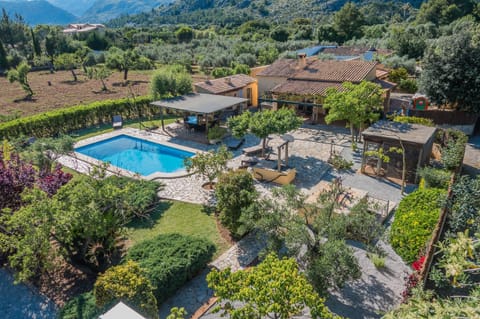 Garden & terraces