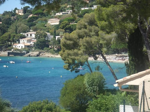 View of Beach & Apartment