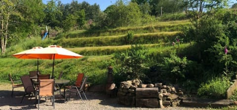 part of the garden /une partie du jardin