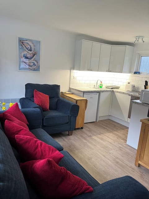 Living room with adjoining kitchen