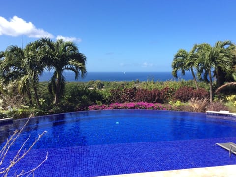 Infinity pool overlooking west coast 