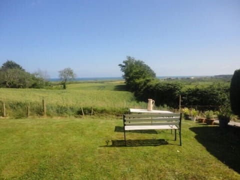 View from the back garden