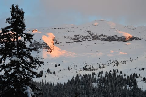 View from Balcony, winter