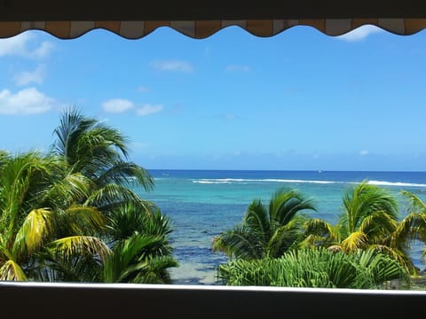 View from front terrace