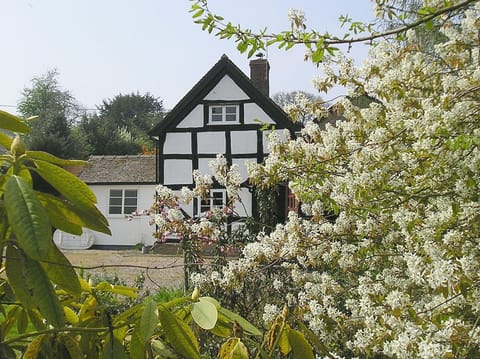 cottage in Spring