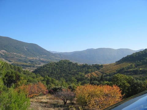 Just above the village..