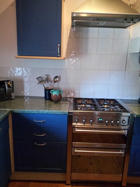 Gas hob, electric oven, microwave, fridge, plenty cupboard storage.