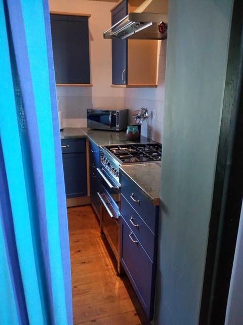 Entrance to kitchen from dining area. Door and curtain.