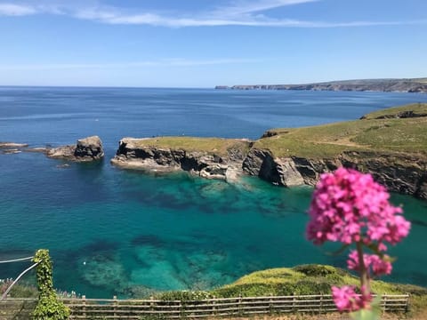 step outside and see this