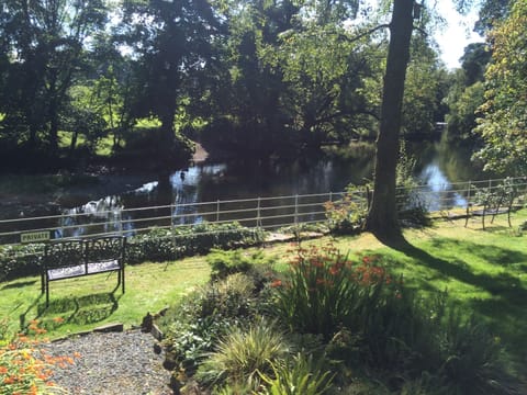 view of the shared garden