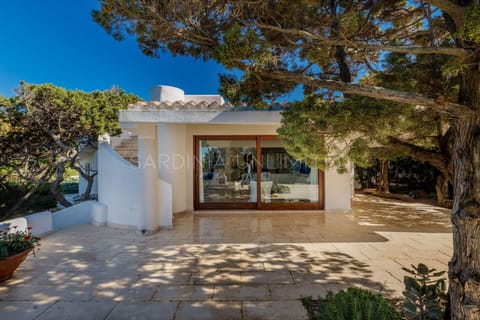 Balcony / Terrace / Patio