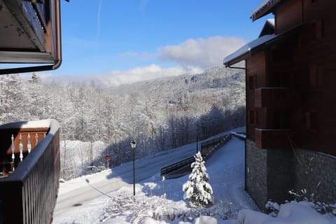 View down the valley from the studio balcony
