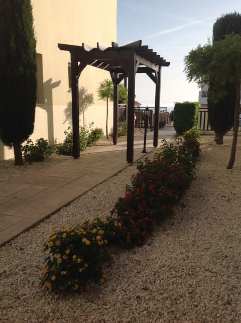 Garden features around the complex