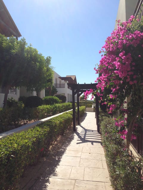 Attractive garden areas