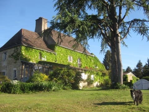 Main house from our garden, apartment at far end, private access from other side