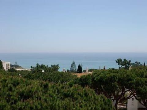 View from roof terrace