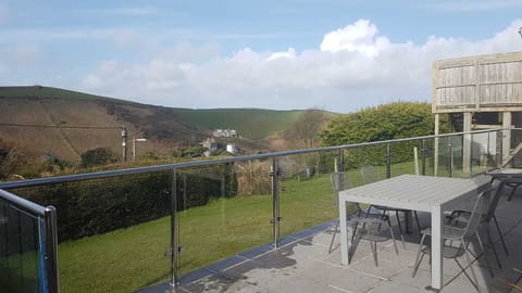 Back garden and new terrace with glass balustrade