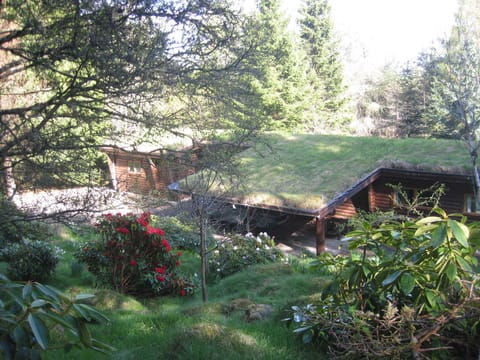Almost hidden! View from behind with Rhodos in flower