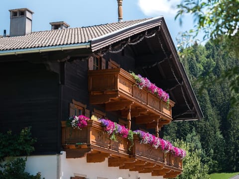 The Glaagut - Family Hain - Holiday home Farm Stay in Salzburgerland